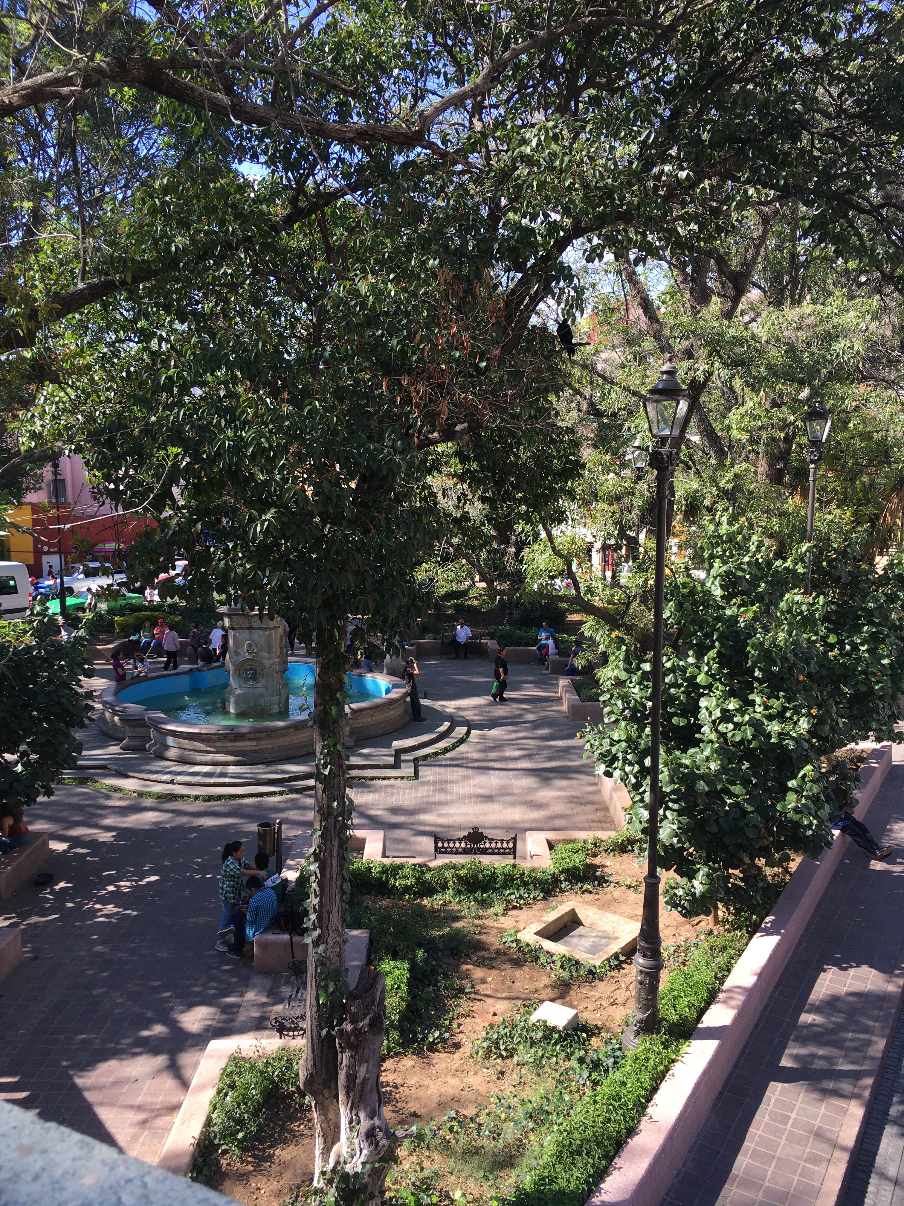 Community takes place in a central park.