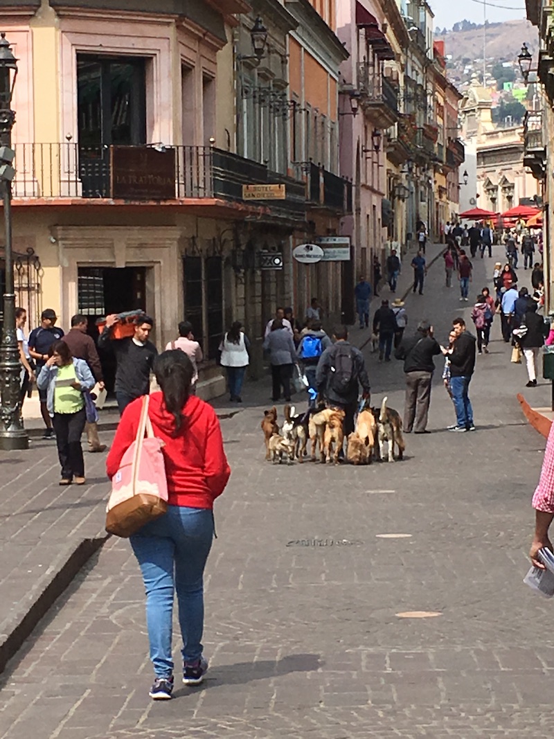 Living abroad Town wanderings
