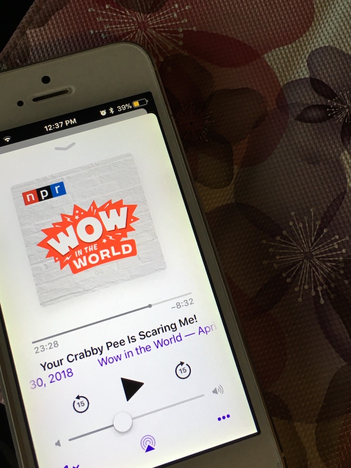 Podcast Wow In The World